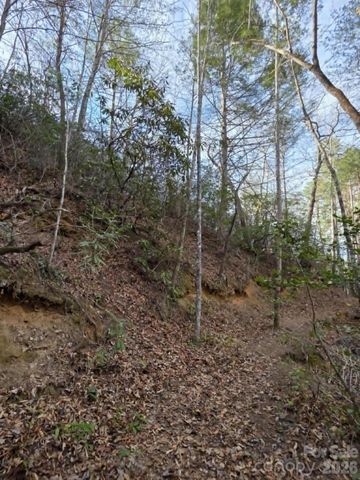 Lot 10 Kerlee Lane, Old Fort, NC 28762