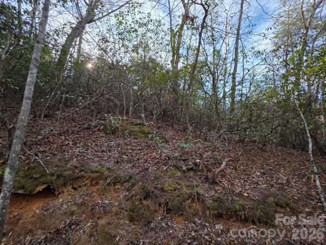 Lot 10 Kerlee Lane, Old Fort, NC 28762