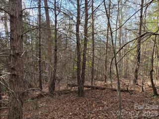 Lot 10 Kerlee Lane, Old Fort, NC 28762