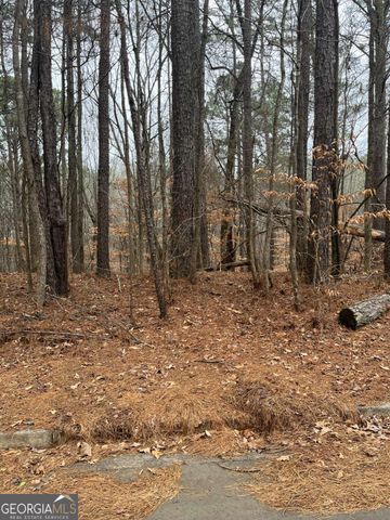 LOT 3 Lake Esther Drive, Fairburn, GA 30213