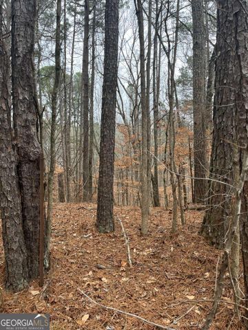 LOT 3 Lake Esther Drive, Fairburn, GA 30213