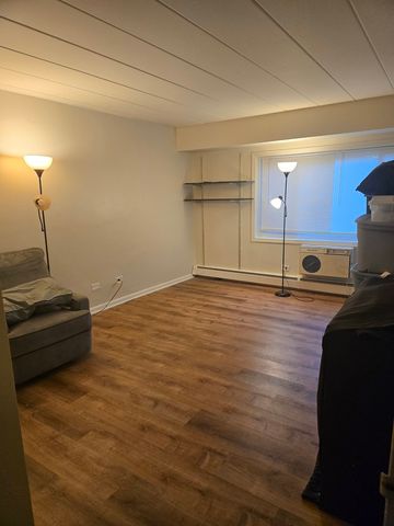 1141 Leavitt Avenue 115, Flossmoor, IL 60422