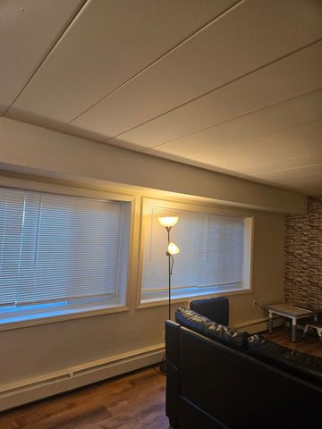 1141 Leavitt Avenue 115, Flossmoor, IL 60422