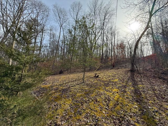 265 Smallwood Road, Mt Vernon, KY 40456