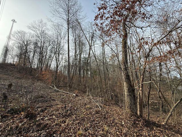 265 Smallwood Road, Mt Vernon, KY 40456