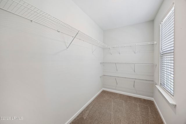 162 Thistle Lane, Beaufort, SC 29907