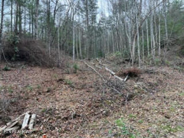 Coy Rhea Way, Sevierville, TN 37876