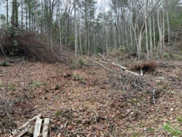 Coy Rhea Way, Sevierville, TN 37876