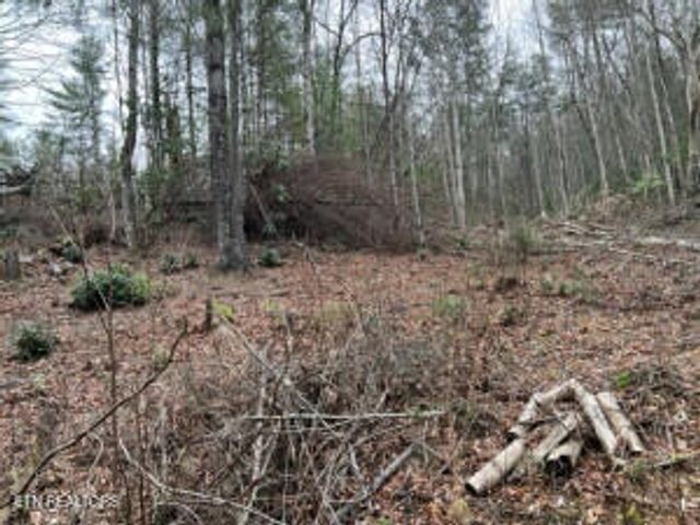 Coy Rhea Way, Sevierville, TN 37876