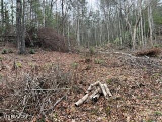 Coy Rhea Way, Sevierville, TN 37876