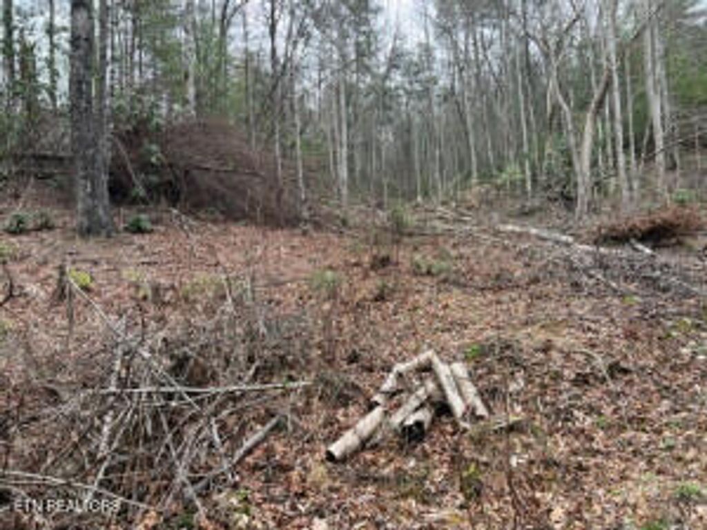 Coy Rhea Way, Sevierville, TN 37876