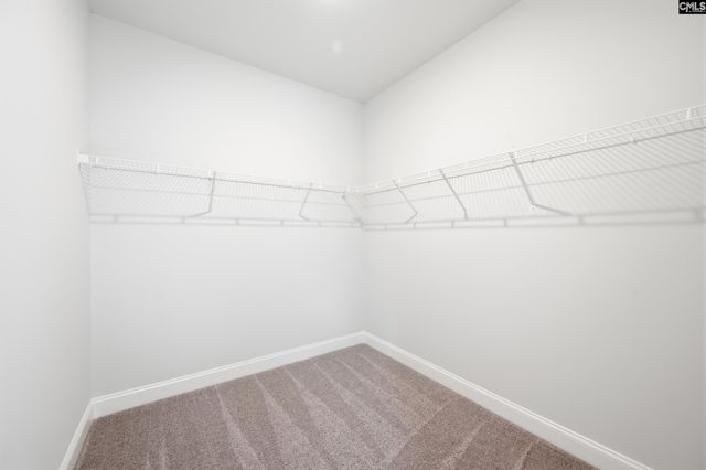 386 Mont Haven Place, Lexington, SC 29072