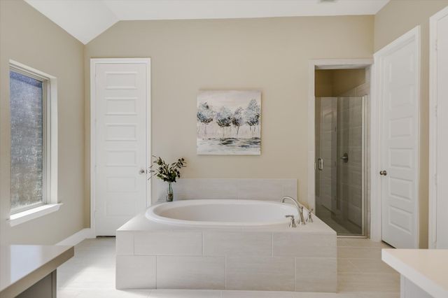 176 Cyrus Milton DR, Buda, TX 78610