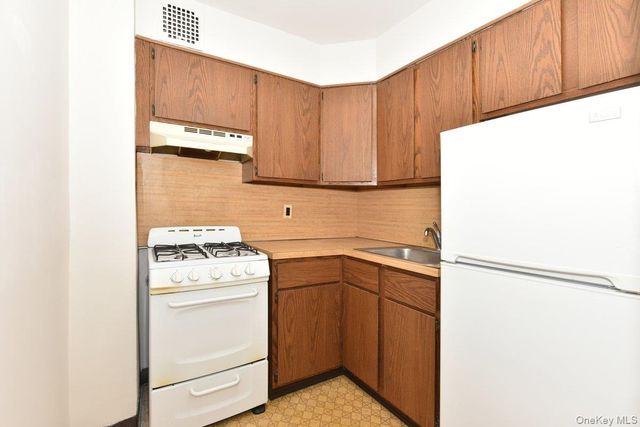 4 Birchwood Court 2P, Mineola, NY 11501