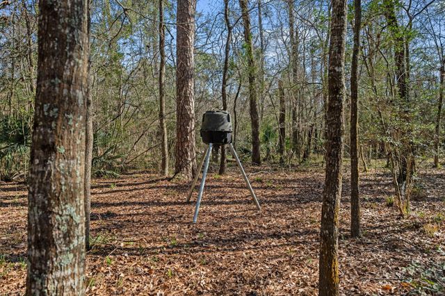 10303 Croger Drive, Magnolia, TX 77354