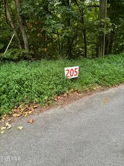 205 Ox Bow Ave, Unicoi, TN 37692
