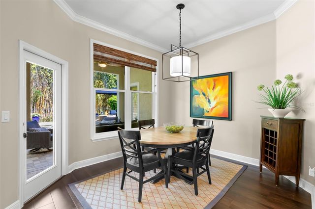 12003 SAN CHALIFORD COURT, Tampa, FL 33626