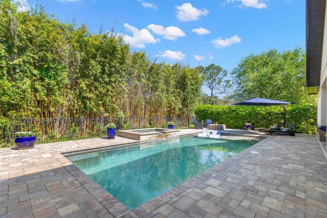 12003 SAN CHALIFORD COURT, Tampa, FL 33626