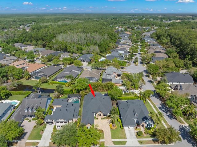 12003 SAN CHALIFORD COURT, Tampa, FL 33626