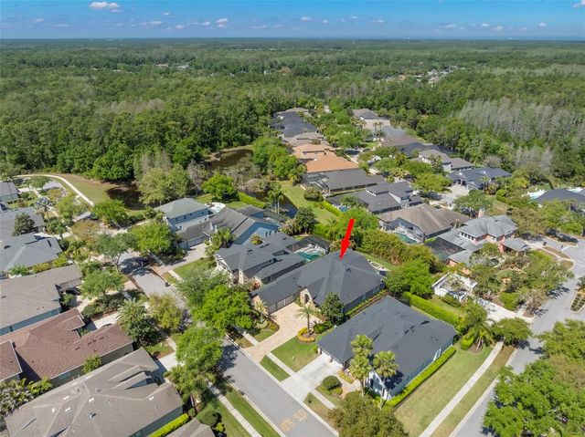 12003 SAN CHALIFORD COURT, Tampa, FL 33626