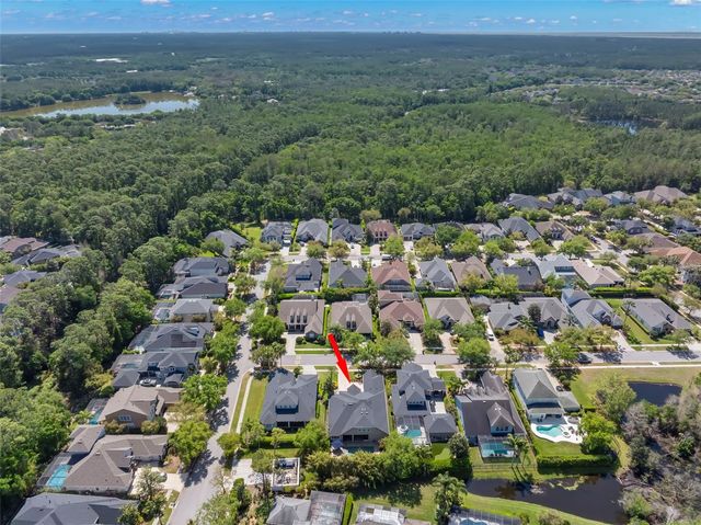 12003 SAN CHALIFORD COURT, Tampa, FL 33626