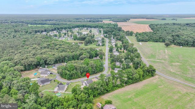 21359 TREEVIEW LN, Millsboro, DE 19966