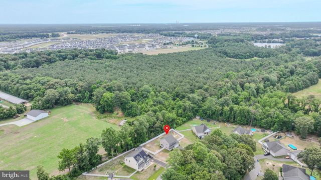 21359 TREEVIEW LN, Millsboro, DE 19966