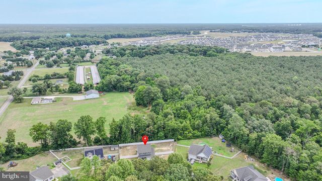 21359 TREEVIEW LN, Millsboro, DE 19966