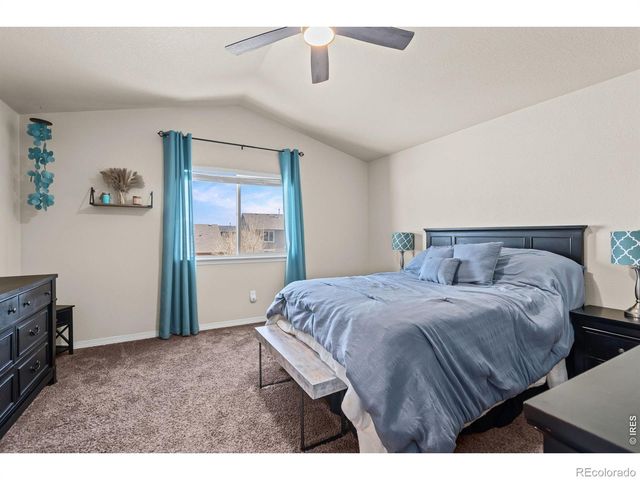 5599 Clarence Drive, Windsor, CO 80550