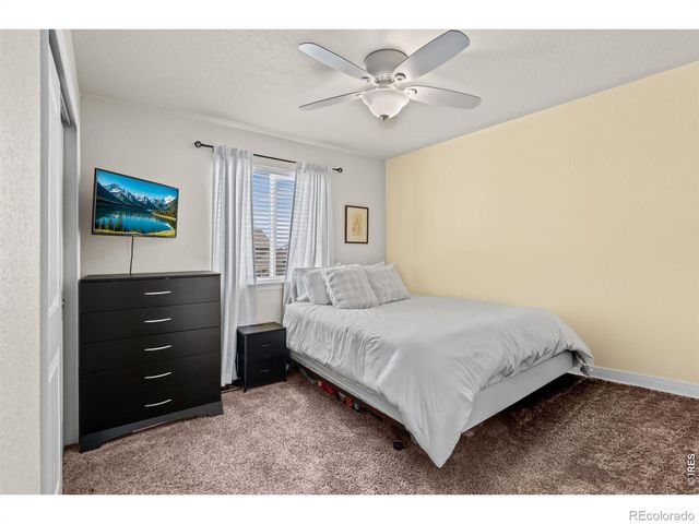 5599 Clarence Drive, Windsor, CO 80550