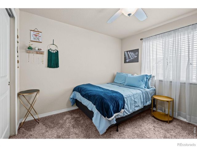 5599 Clarence Drive, Windsor, CO 80550