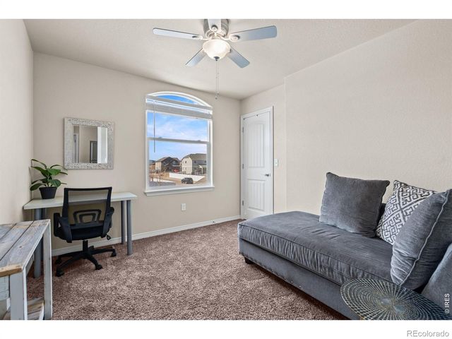 5599 Clarence Drive, Windsor, CO 80550