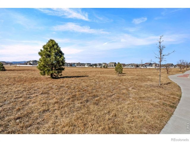5599 Clarence Drive, Windsor, CO 80550