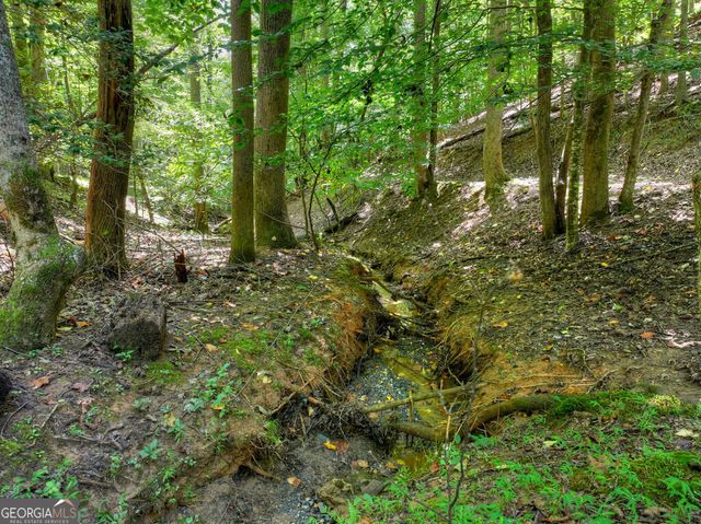 162 Primrose Court, Ellijay, GA 30540