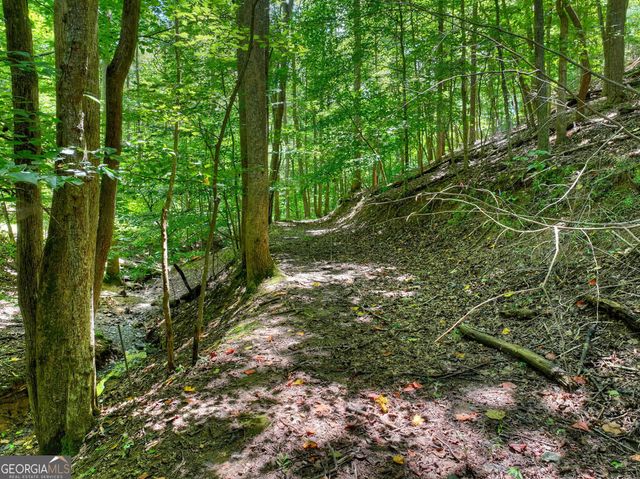 162 Primrose Court, Ellijay, GA 30540