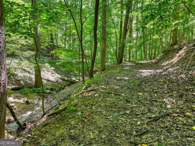 162 Primrose Court, Ellijay, GA 30540
