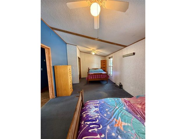 312 W Ryus Ave, La Veta, CO 81055