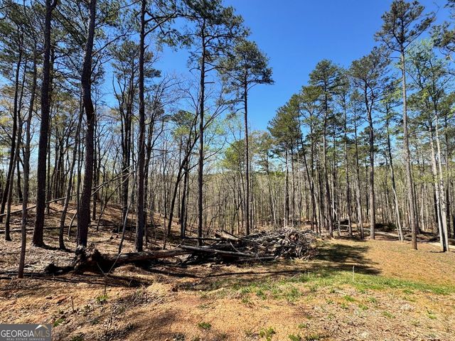 4285 State Rte 166, Douglasville, GA 30135