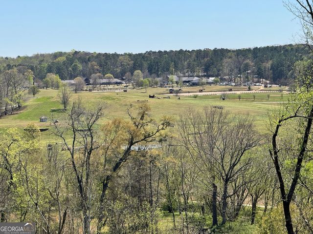 4285 State Rte 166, Douglasville, GA 30135