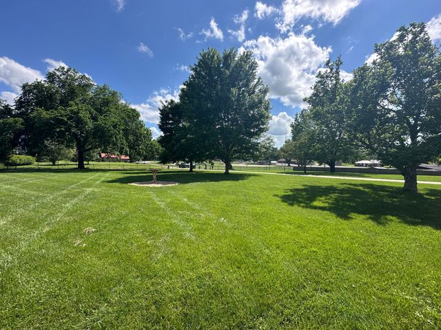 528 E Dorris Avenue, Mountain Grove, MO 65711