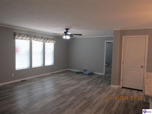 410 Carroll Avenue, Rineyville, KY 40162