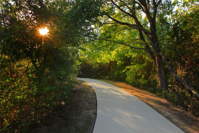 1211 Cartona Road, Fate, TX 75087