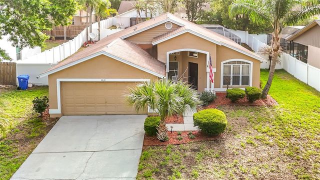 2631 GREEN VALLEY STREET, Valrico, FL 33596