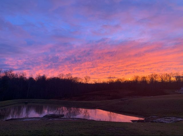 7309 Flat Rock Ct, Fairview, TN 37062