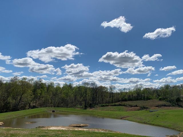 7309 Flat Rock Ct, Fairview, TN 37062