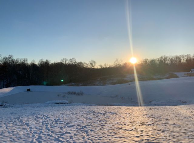 7309 Flat Rock Ct, Fairview, TN 37062