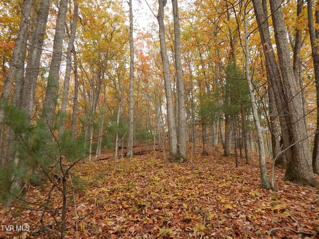 Tbd Spoon Gap Road, Abingdon, VA 24211