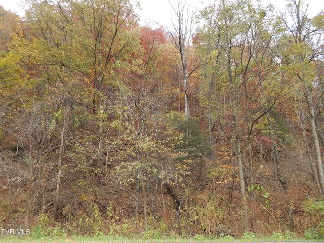 Tbd Spoon Gap Road, Abingdon, VA 24211