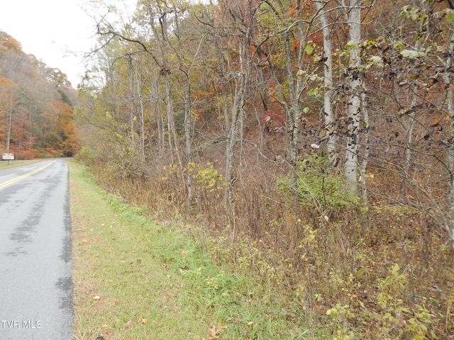 Tbd Spoon Gap Road, Abingdon, VA 24211