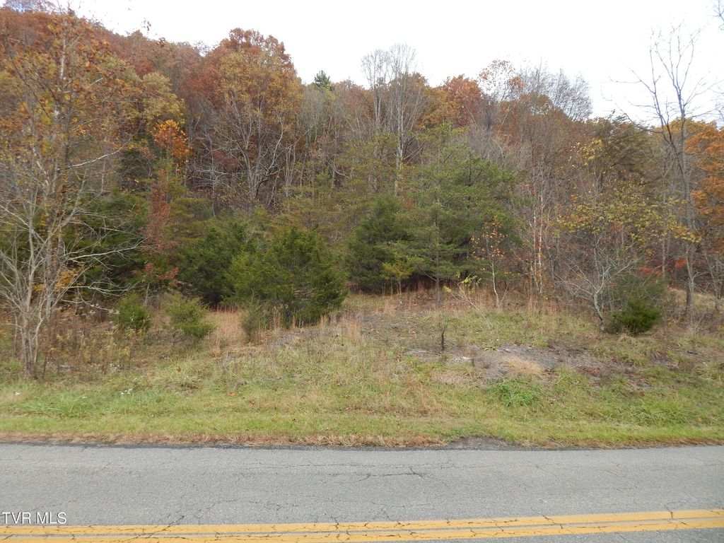 Tbd Spoon Gap Road, Abingdon, VA 24211